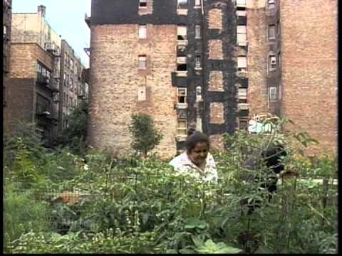 download lagu mp3 mp4 City Farmers, download lagu City Farmers gratis, unduh video klip City Farmers