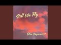 Still They Fly
