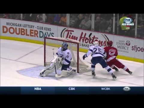 NHL 2014-15, Tampa Bay - Detroit 2015.03.28