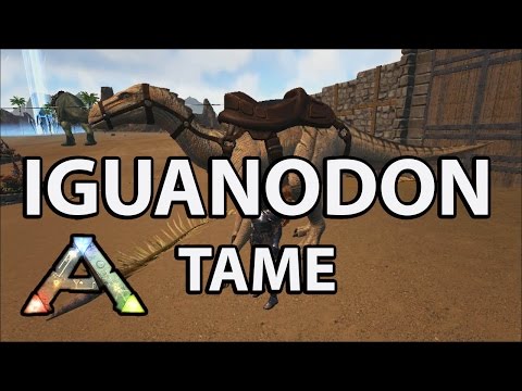 New Iguanodon Tame Ark Survival Evolved Center Map