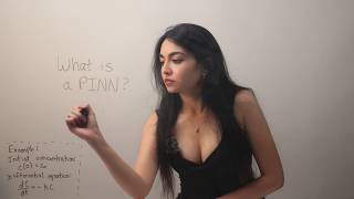 An Introduction to Physics-Informed Neural Networks