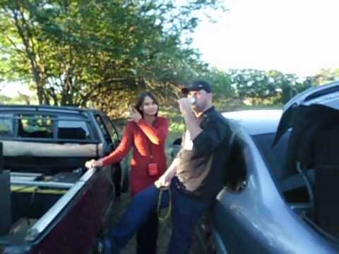 brown som juntamente com pit stop som