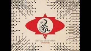 Afro Celt Sound System - Mojave