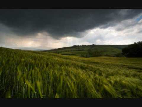 Hidden Logic - Wasting (Original Mix)