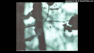 Vediog Svaor - Wipsoq Dav