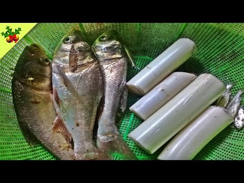 Village Food Factory Youtube ❤ Banana Stem Recipe With Fresh Fish Cooking In My Village - 38