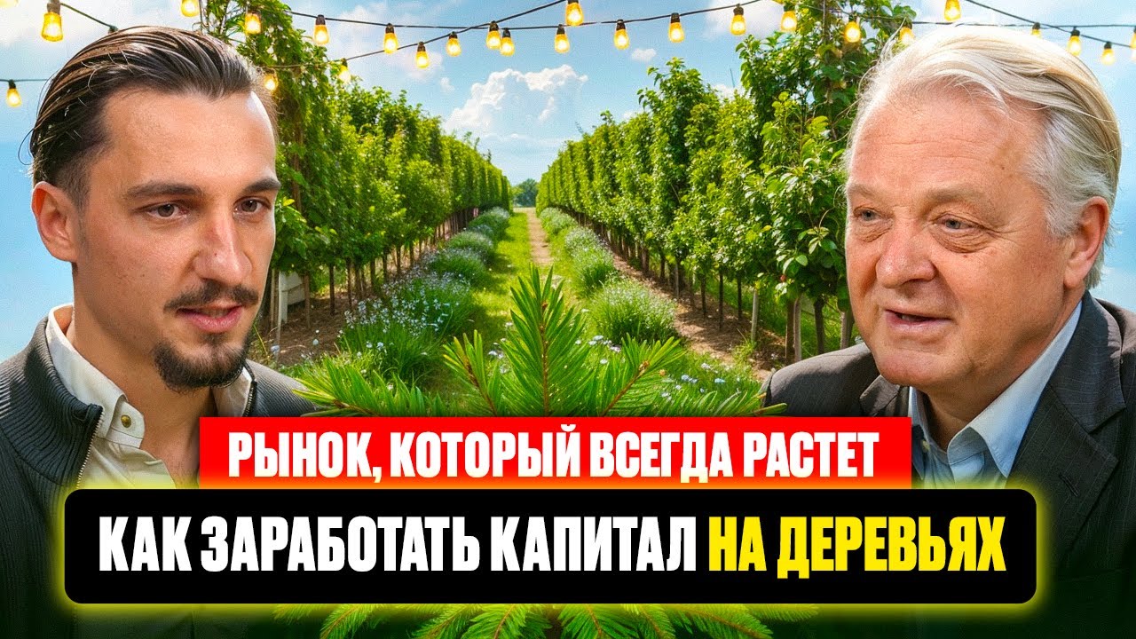 Рынок, который всегда растет  Как заработать капитал на деревьях.