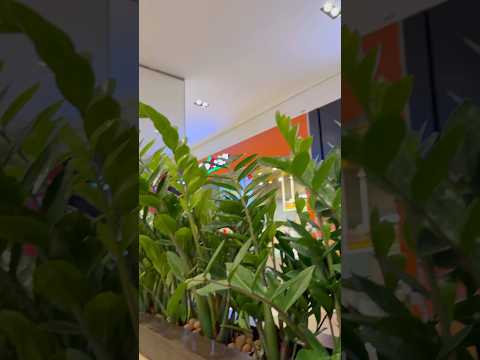 #shopping #mall #eldorado #saopaulo #viralshort #viralshort #viral #brasil #travel #trip #happy #cn