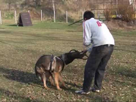 Pantas Suché Lazce - protection - 12 months