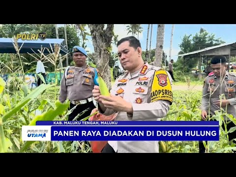 POLRESTA AMBON SUKSES LAKSANAKAN PANEN JAGUNG PERDANA UNTUK WUJUDKAN KETAHANAN PANGAN