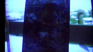 No Man is Roger Miller ~ The Promised Land