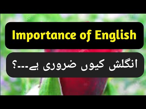 Importance of English | English Language Instructor Wisal | @literarycircle747
