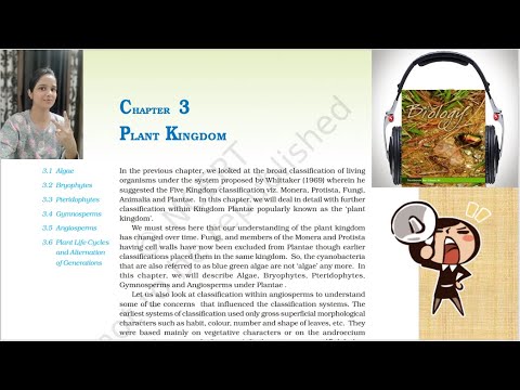 Ch 3 Plant Kingdom Class11 NCERT Audio Book | NCERT Biology Reading Only | Class 11 NCERT Audio Book