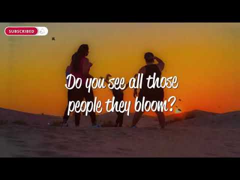 Martin Van Lectro, Manuel Lauren