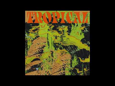 CV Vision - Spaziergang am Meer