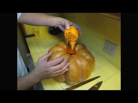 download lagu mp3 mp4 Fairy Tail Squash Recipes, download lagu Fairy Tail Squash Recipes gratis, unduh video klip Fairy Tail Squash Recipes