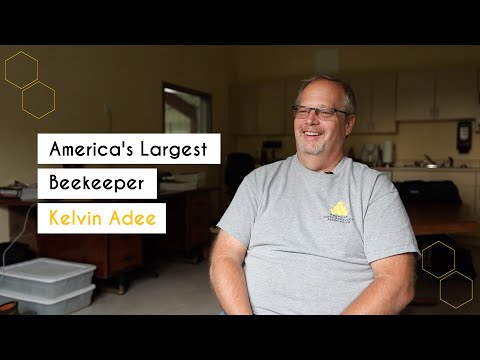 , title : 'A Chat With America's Largest Beekeeper | Kelvin Adee & Premier Bee Products'