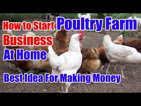 , title : 'How to Start a Poultry Farm Business at Home'