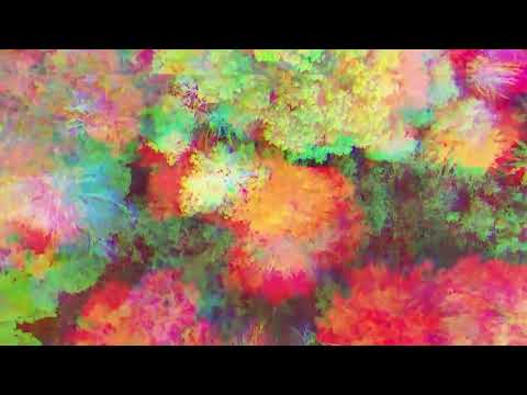 Nature Tripping  l Gennady Tkachenkо Papizh and Olox   Evolution - Reverb and Echo l LSD l Mushroom