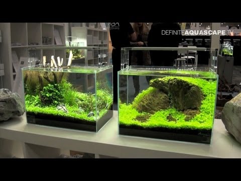 Aquascaping - Planted Aquariums of Aqua Design Amano Deutschland, Heimtiermesse 2013, Hannover