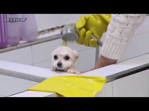 [FRENCH SUB + CHN SUB | 1080p] 170712 Go Fighting ! S3 Ep.1 BTS - Yixing shower dogs with attention