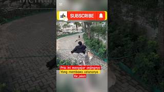 Download lagu Lucu celana pria ini lepas di bawa anjing miliknya 😂 #shorts #funny mp3 Download lagu Lucu celana pria ini lepas di bawa anjing miliknya 😂 #shorts #funny mp3