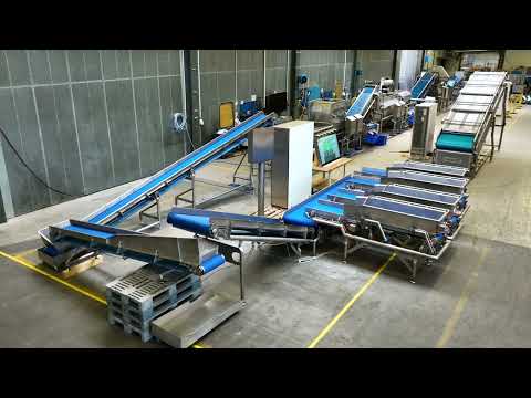 Vollautomatische Produktionslinie für Salat & Blattgemüse mit hoher Kapazität & neuer Waschtechnik