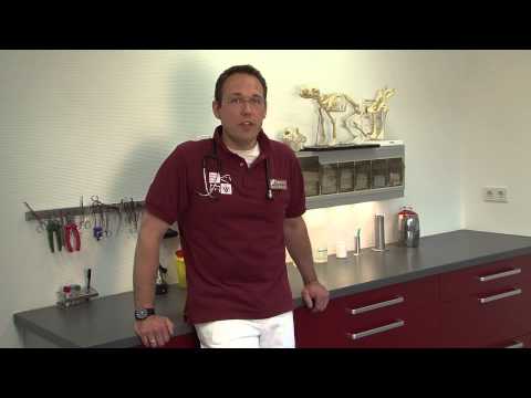 Tierarztpraxis Detmer - Praxis für Tiere