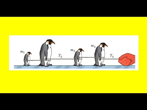 The figure shows four penguins that are being playfully pulled along