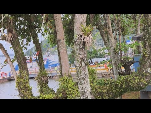 Em frente ao Ferry Boat de Cananéia-SP, olha quanta beleza!