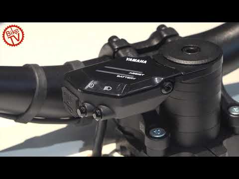 IAA Mobility R Raymon