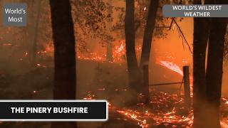 One of Australia's Most Catastrophic Bushfires | World's Wildest Weather | S01 E06