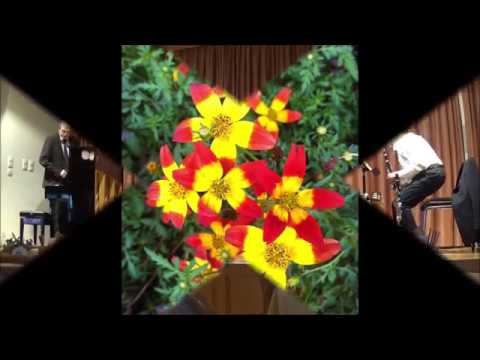 Franz Lehar "Die lustige Witwe", Potpourri