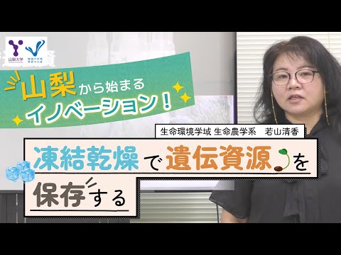 凍結乾燥で遺伝資源を保存する
