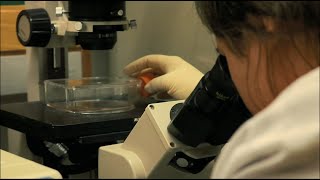 A Look inside the Lab: Microscopes - Vaccine Makers Project