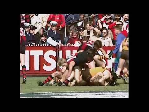1985 VFL Grand final fight