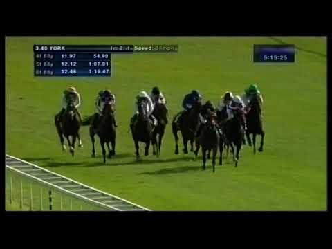 2012 Juddmonte International Stakes