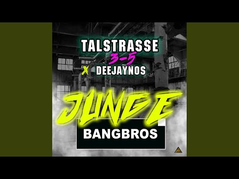 Junge (Bangbros Remix)