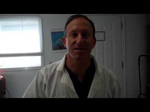 Dr Matt Belman discusses Feline Dermatitis, Eosinophilic plaque and Dental Disease
