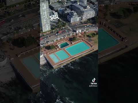Sea Point Swimming Pool - Cape Town 🏊🏽‍♂️🇿🇦 #shorts