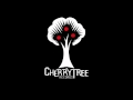 Des contenus exclusifs sur Tokio Hotel prochainement sur Cherrytree Records !
