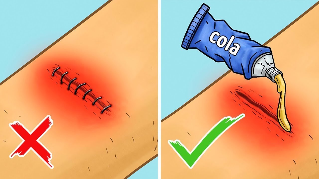 12 Dicas que Podem Ajudar Você a Sobreviver