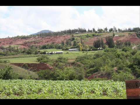 Mario Montes ------El Casique Mocorongo.wmv