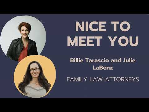 Watch — How to effectively represent yourself in family court — Family Court Guide