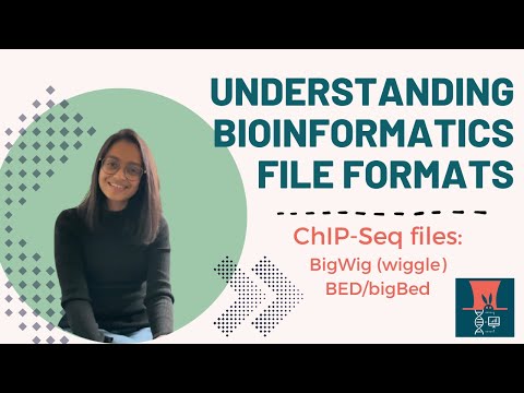 Understanding File Formats in Bioinformatics: ChIP-Seq files - BigWig (Wiggle) and BED/bigBed