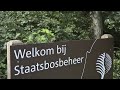 Rob ontdekt de Flevolandse bossen