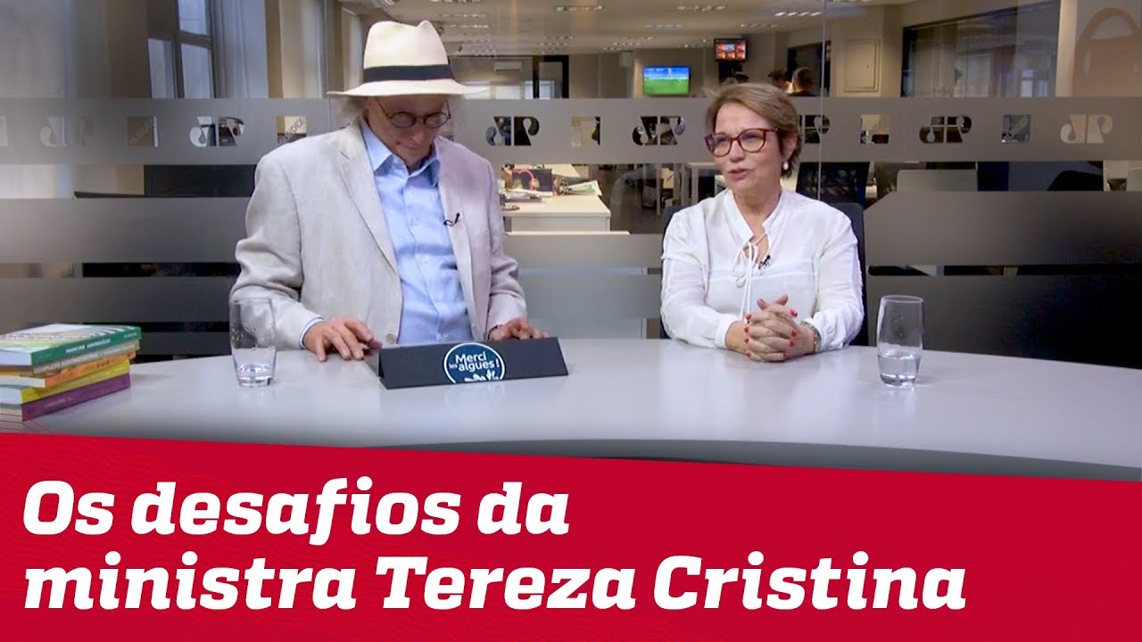 Entrevista: os desafios da ministra Tereza Cristina | Agronegócio