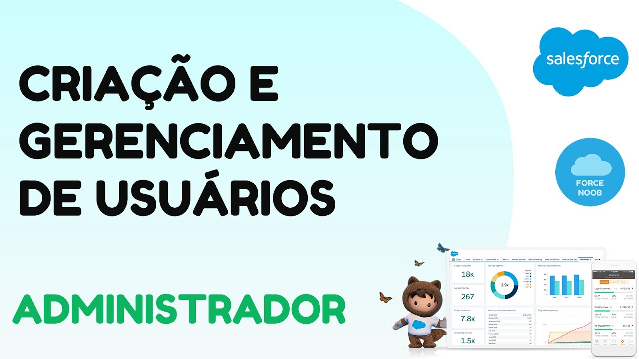 Papeis: Administrador Salesforce - Criação de usuários, gerenciamento e redefinição de senhas