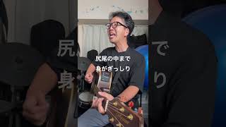 E.F.G ～エビフライガール～【サラリーマンの休日】 #弾き語り #歌ってみた #ギター #アレンジカバー