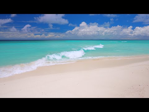 Maldives Ocean 4K 🏝 Tropical Beach in Summer. Ocean sounds for sleep and study
